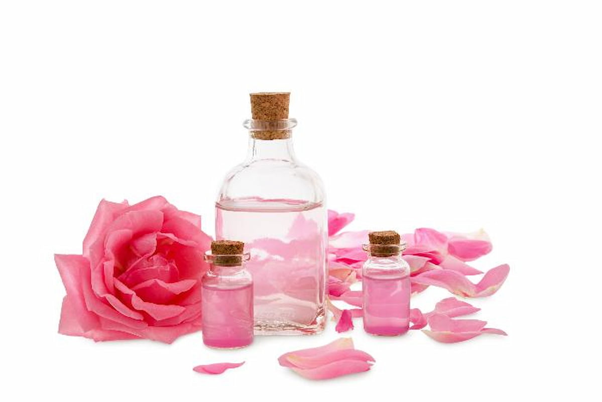 گلاب درجه یک با رایحه دلنشین و ماندگار